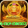 2022 world cup cricket King Slots