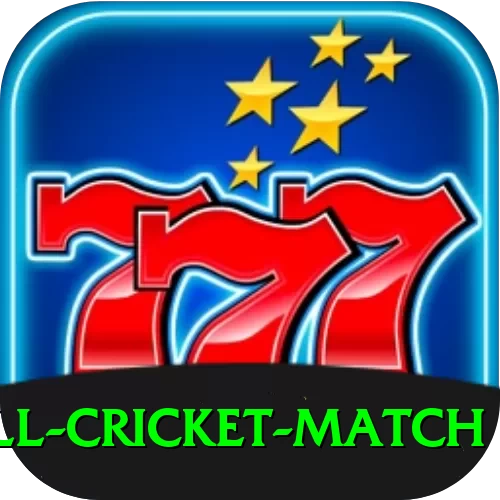 all cricket match Champion New - 2