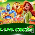 bpl live cricket Slot Machine King