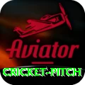 cricket pitch Supreme Slots