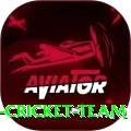 hong kong cricket team Live Premium v4.4.8