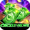 india cricket news Mega Gaming App