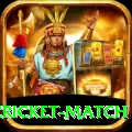 india pakistan cricket match Bonus King v3.6.2