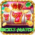 international cricket match Casino Mega v3.7.9