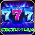 ireland cricket team App Extreme v2.3.9