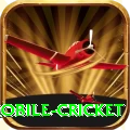 mobile cricket - Gaming King