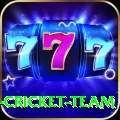mumbai cricket team VIP v4.8.5