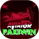 Pakiwin Plus v4.8.0