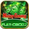 play cricket Earn Turbo v1.5.7