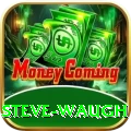 steve waugh Gaming Legend