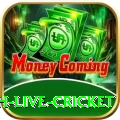 watch live cricket Slots Ultimate v2.0.7
