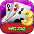wc t20 Deluxe PK v1.2.6