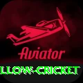 willow cricket Official v5.2.1